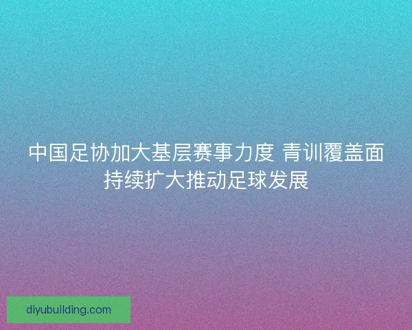 中国足协加大基层赛事力度 青训覆盖面持续扩大推动足球发展